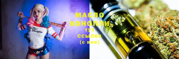 шишки Володарск