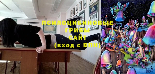 шишки Володарск