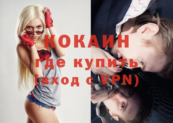 шишки Володарск