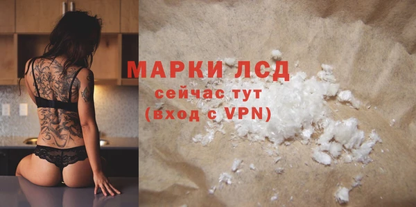 сатива Вяземский