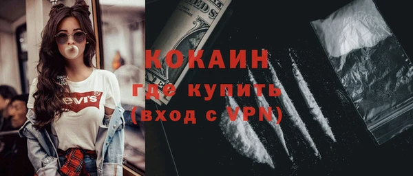 шишки Володарск