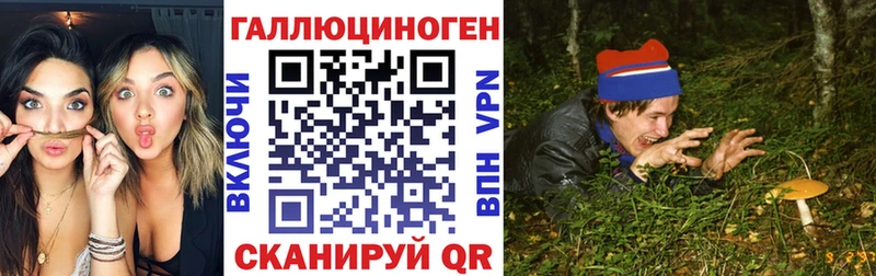Купить где Курильск Псилоцибиновые грибы Magic Shrooms